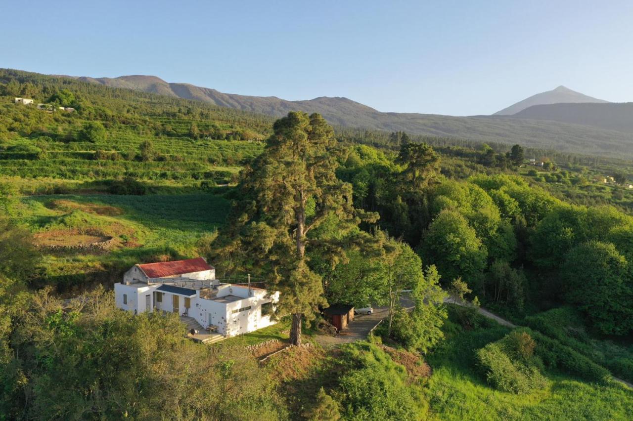 El Pino Centenario 4 Λος Ρεαλέχος Εξωτερικό φωτογραφία